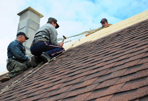 Best Roof Repair Services  in Seth Ward, TX